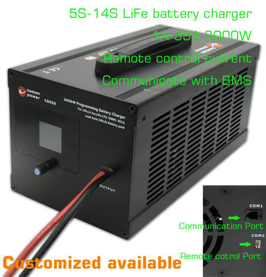 14S LFP Lithium Lifepo4 AC To DC Baterai Pengisi daya Sistem penyimpanan energi 51.1V 3000W